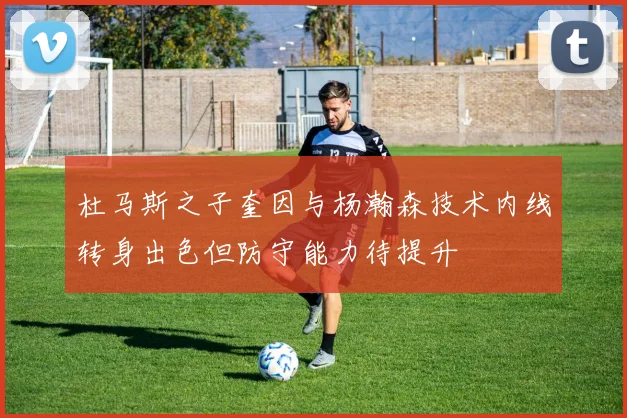 杜马斯之子奎因与杨瀚森技术内线转身出色但防守能力待提升